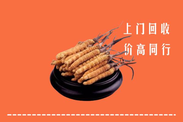 高价求购：铜仁市回收散虫草