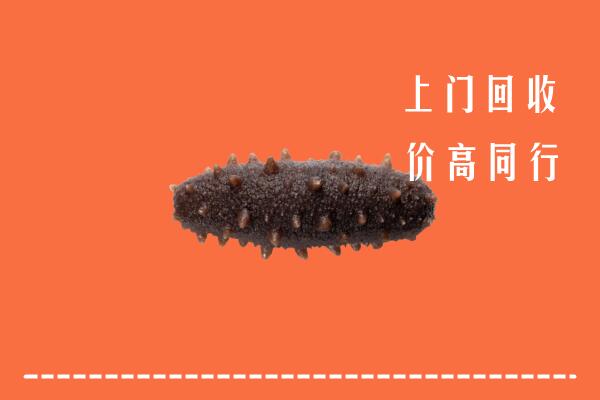 高价求购：铜仁市回收海参