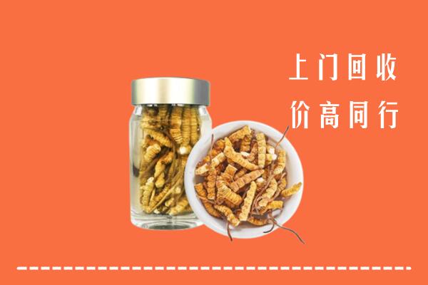 铜仁市回收冬虫夏草